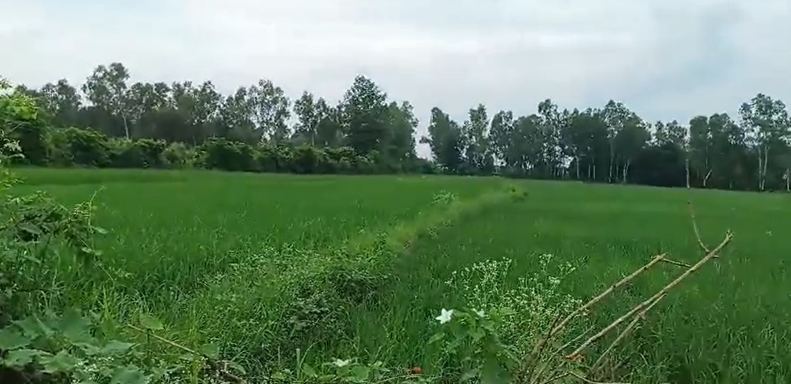 22 Bigha Land for Sale on Shimla Bypass Road | Prime Location